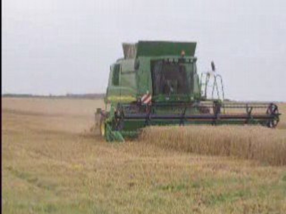 moisson