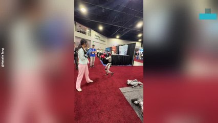 Girl Spars With Humanoid Robot at Exhibition