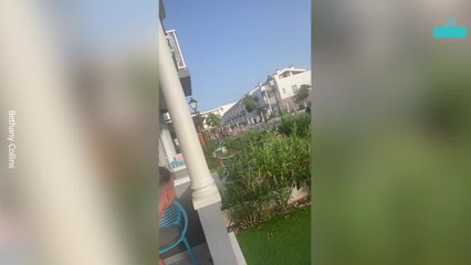 Holidaymakers in Sunbed Wars