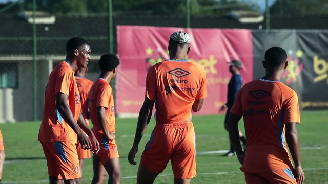 Leão vs Vasco da Gama: Confronto Direto para Evitar Rebaixamento no Campeonato Brasileiro Série A 2025