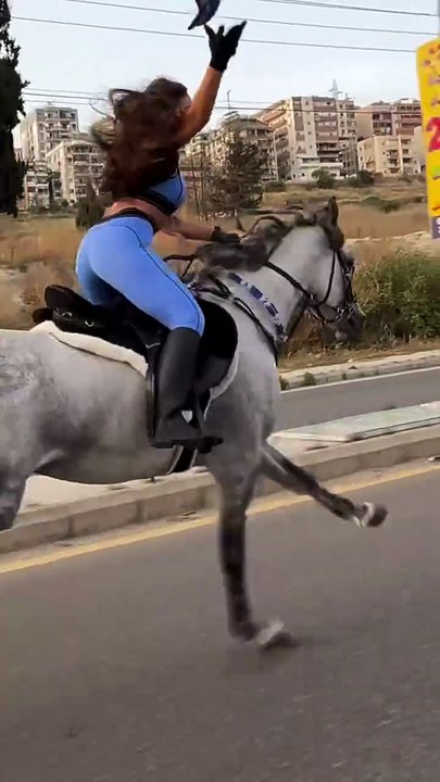Saleemoffical presentation- Bravo Rider #horse