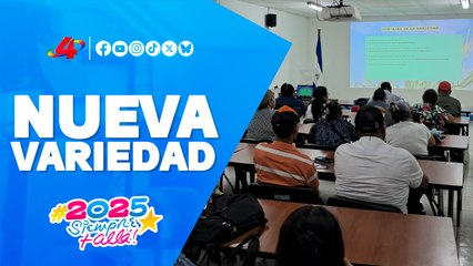 🌽 INTA presenta el maíz Fortinica: más nutrición y productividad para Nicaragua 🇳🇮