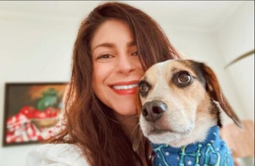 A 'talking Beagle' has learned how to put on relaxing music when he's home alone