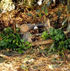 Lueur d'espoir épique : L'édition de la machine à coudre vintage !