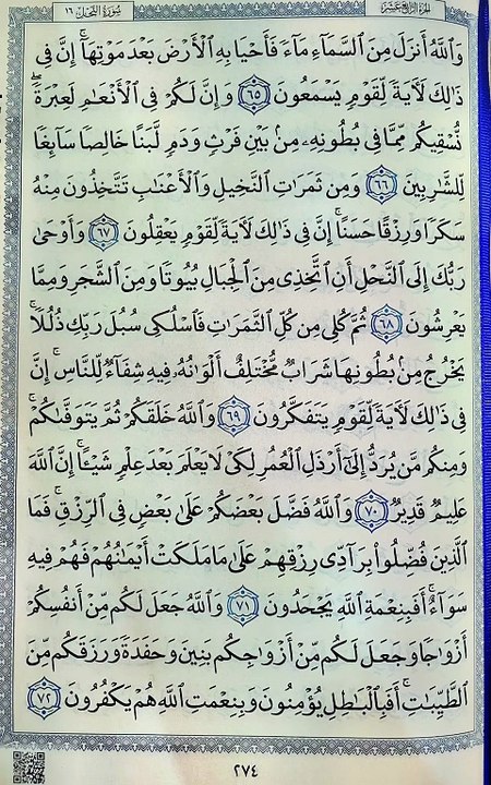 صفحة (274)