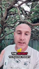 The secret to making money with email