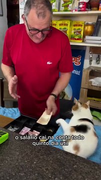 Mimi, gatinha paranaense 'CLT', viraliza ao mostrar direitos, benefícios e desafios da carteira assinada