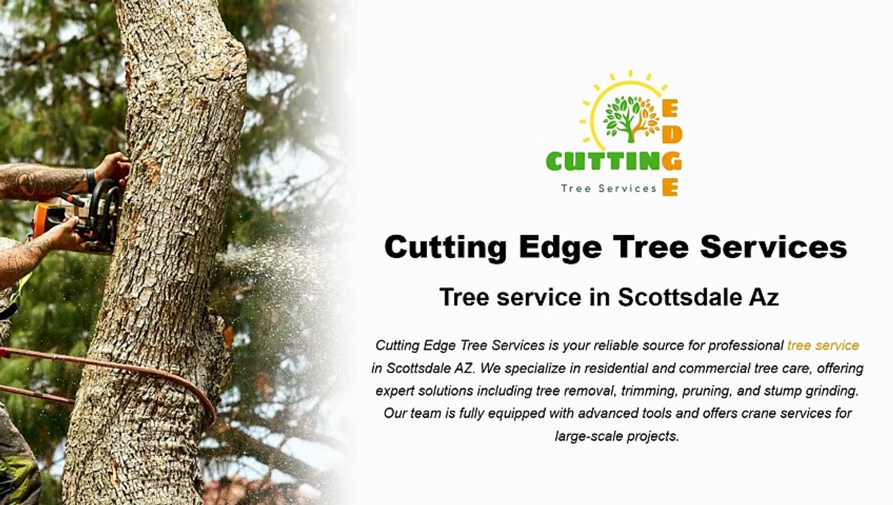 Cutting Edge Tree Services | Commercial Tree Services