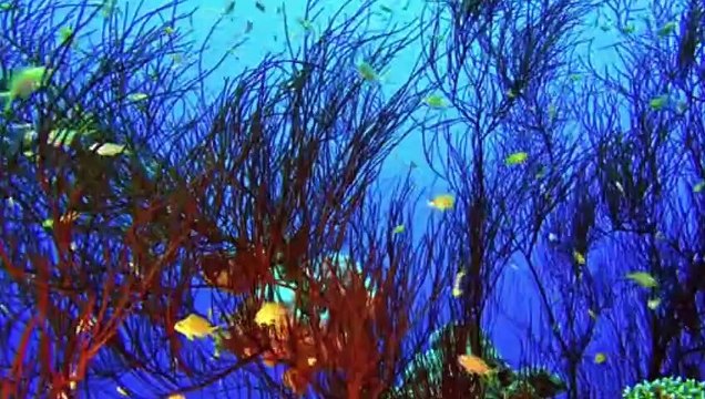 OCEAN ANIMAL ADVENTURES Creating an Ocean The Engineering Feat Behind the World’s Biggest Aquarium Creating an Ocean documents the construction of a gigantic marine life sanctuary Sea Documentary #FreeDocumentary #megaprojects #Documentary