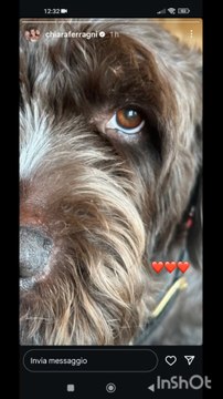 chiara Ferragni story del suo brand