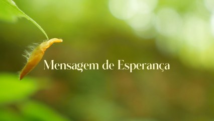 MENSAGEM DE ESPERANÇA - 29.08.2025