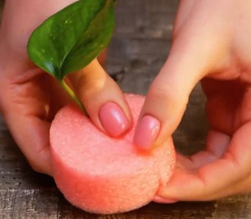 Green thumb secrets! Cool gardening tips you ne...