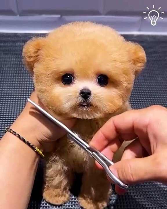 This video is not for the faint-hearted! 😍😍