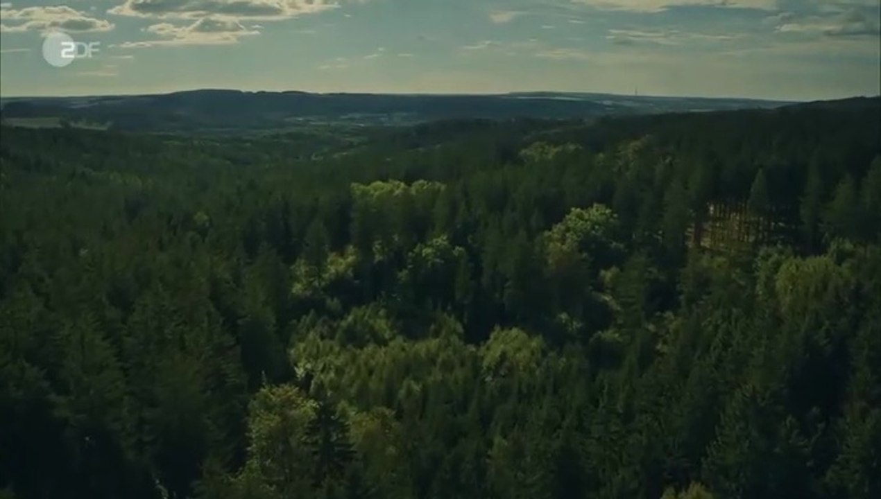 Erzgebirgskrimi -13- Über die Grenze