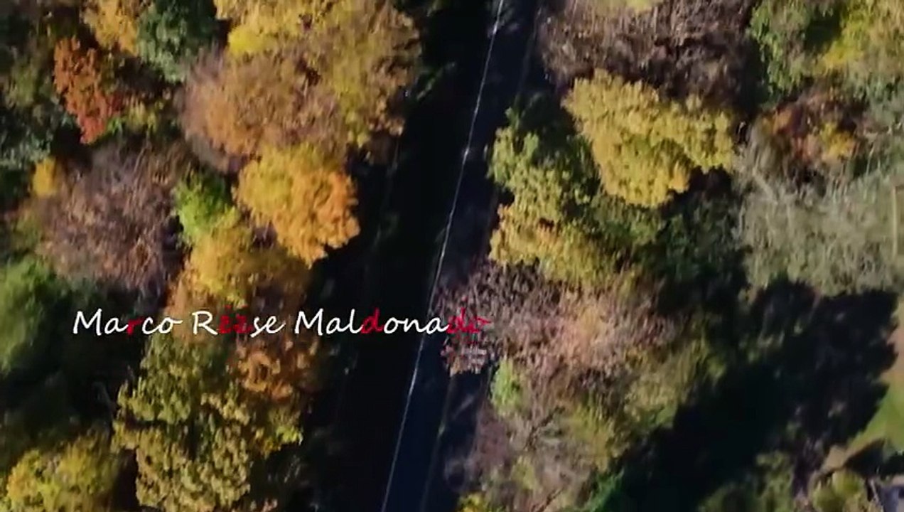 SOMEONE'S IN THE HOUSE  Horror Thriller Full Movie  Betrayal, Paranoia, Fear - Golden Lens (480p, h264, youtube)