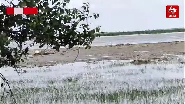 यूपी में बाढ़-बारिश; फर्रुखाबाद में गंगा का जलस्तर घटा, लेकिन समस्याएं बरकरार, मथुरा-मिर्जापुर में राहत नहीं