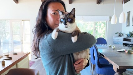 Cat Who Nobody Wanted Becomes The Best Foster Uncle