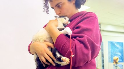 Woman Gives 'Miracle' Cat A Second Chance At Life