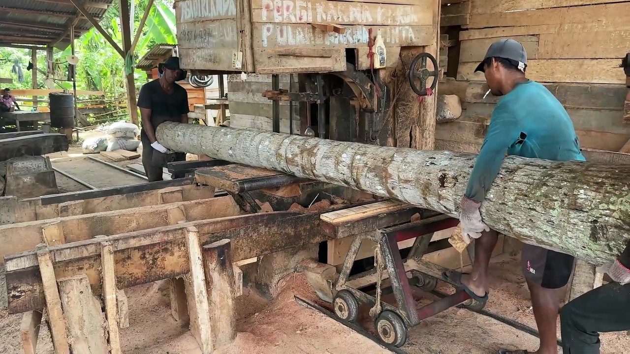 Sawing Coconut Trees into 10x10 Wood with a Sawmill