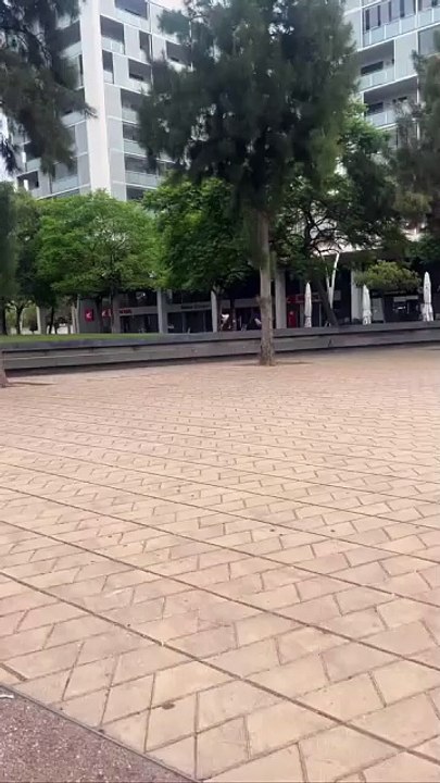 Cabreas pasean en Badalona