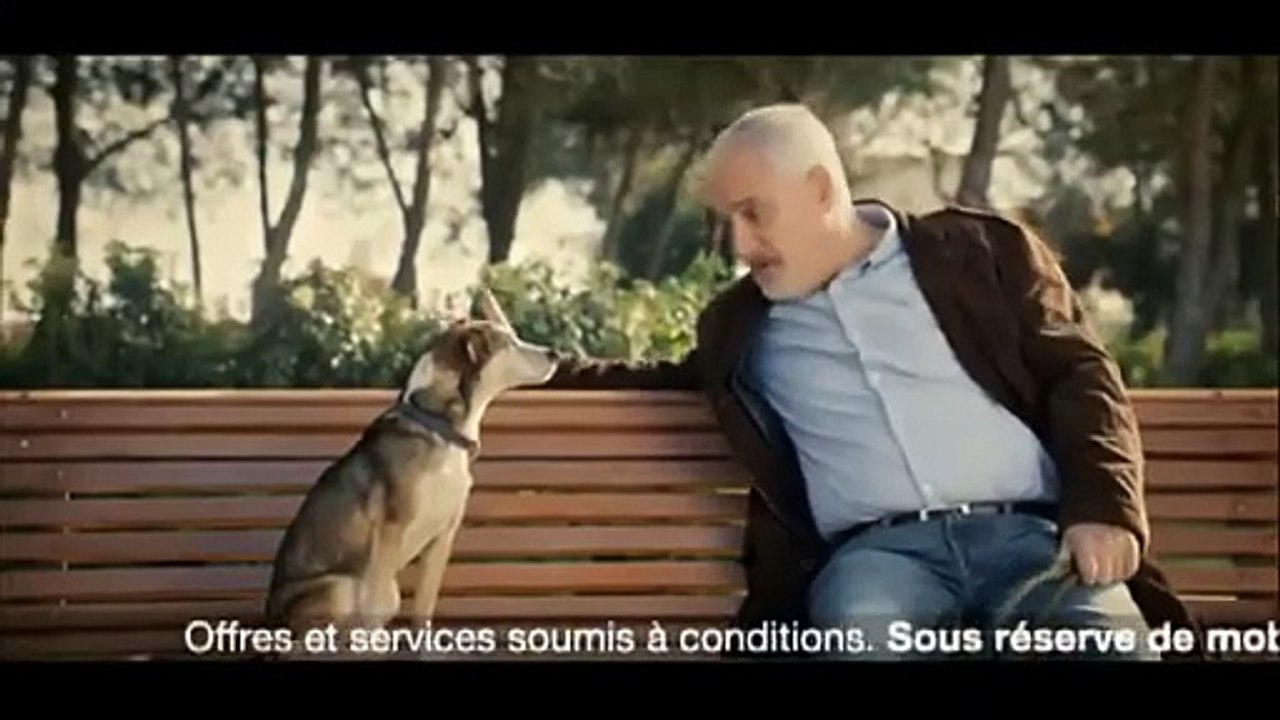 Crédit Mutuel (toby le chien)