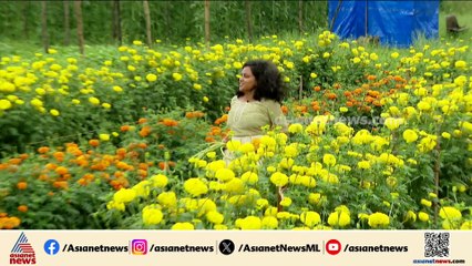 ഓണമുണ്ണാൻ നല്ല ജൈവ പച്ചക്കറികൾ റെഡി...ഇത് കഞ്ഞിക്കുഴി എന്ന 'കേരള ബ്രാൻഡ്'