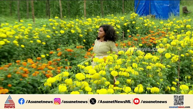 ഓണമുണ്ണാൻ നല്ല ജൈവ പച്ചക്കറികൾ റെഡി...ഇത് കഞ്ഞിക്കുഴി എന്ന 'കേരള ബ്രാൻഡ്'