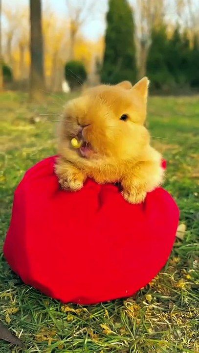A beauriful moment #7