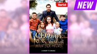 CEO, Your Wife Runs away with Your Six Heirs full movie