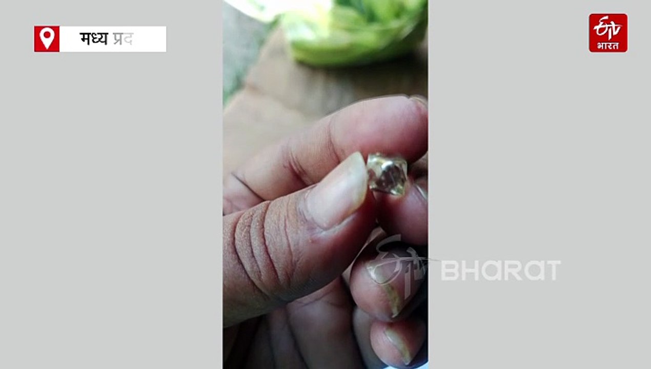 पन्ना में किसानों के चेहरे पर दिखी हीरे की चमक, बेशकीमती डायमंड ने खोली किस्मत, पूरे होंगे सपने