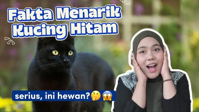 8 Fakta Menarik Tentang Kucing Hitam, Serius Ini Hewan?