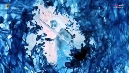 Ram Charan for Mowgli ｜ The World of Mowgli ｜ Sandeep Raj ｜ Roshan Kanakala ｜ TG Vishwa Prasad