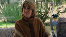 Cap. 60 - La Venganza de Analía 2 | HD 2025