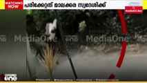 ആറന്മുളയിൽ കാട്ടുപന്നിയുടെ ആക്രമണത്തിൽ 65 കാരനായ കാൽനടയാത്രക്കാരന് പരിക്ക്