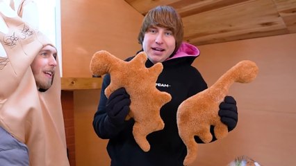 I BUILT A _25_000 DREAM TREEHOUSE | Mr beast |