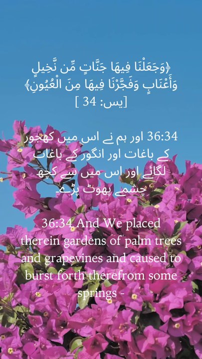 🌿 “Every garden, every grape, every flowing spring whispers: This is the mercy of Allah.” 🌸#QuranVerse #FaithAndReflection #SignsForBelievers