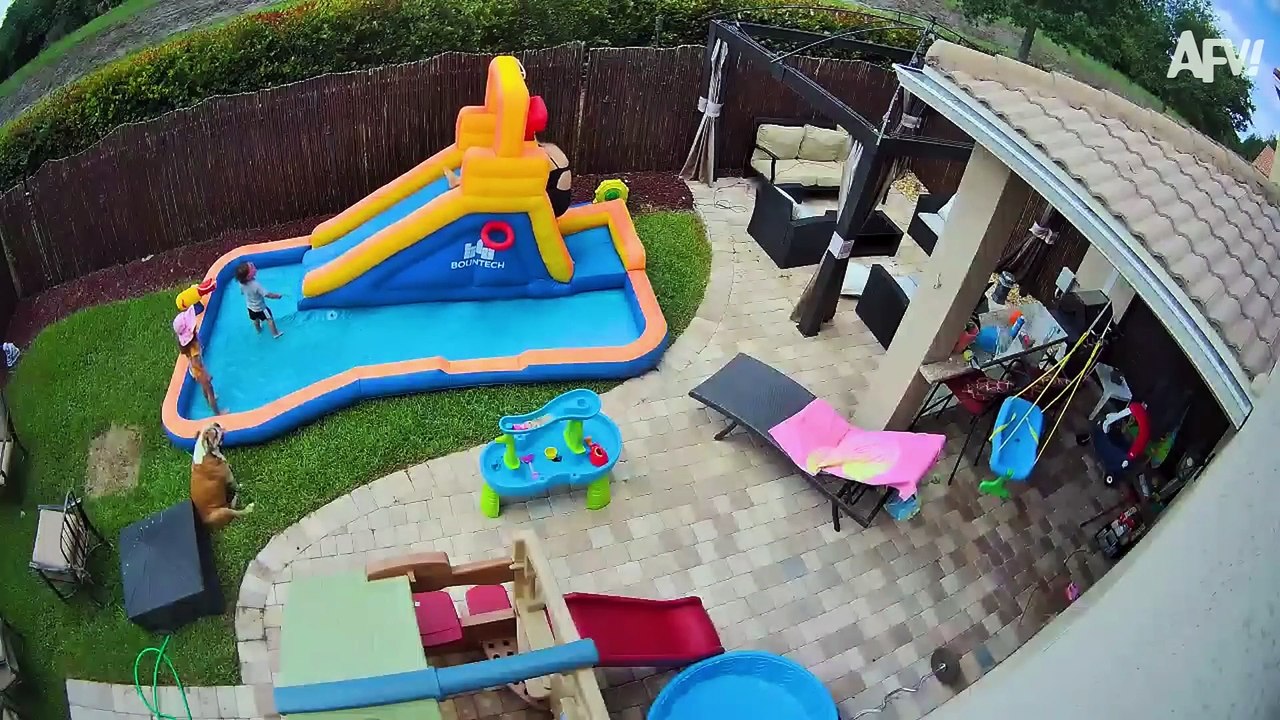 Best Fails of August 2025 😂 Try Not to Laugh Challenge