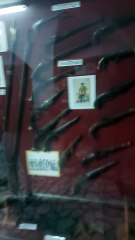 You have a good time discovering funny news