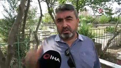 Mezarlık savaş yerine dönmüştü; gerçek ortaya çıktı!