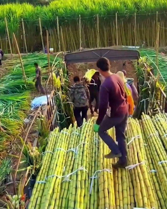 Some seriously satisfying stuff to watch & enjoy!