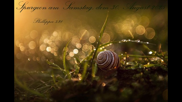Spurgeon am Samstag, dem 30. August 2025, zu Phillipper 3,21