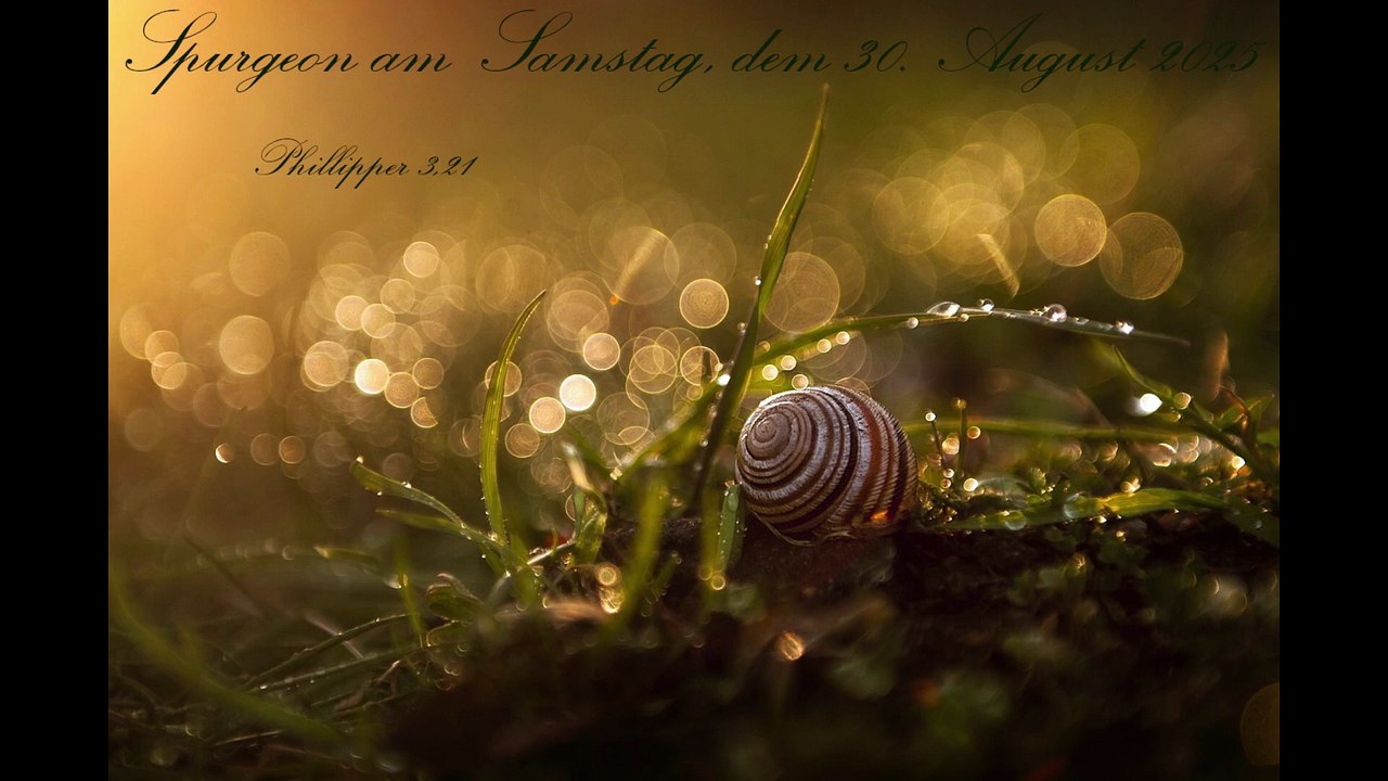 Spurgeon am Samstag, dem 30. August 2025, zu Phillipper 3,21