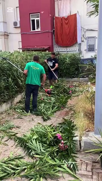 L'associazione Missione San Filippo Neri e i residenti dello Zen effettuano il diserbo da soli