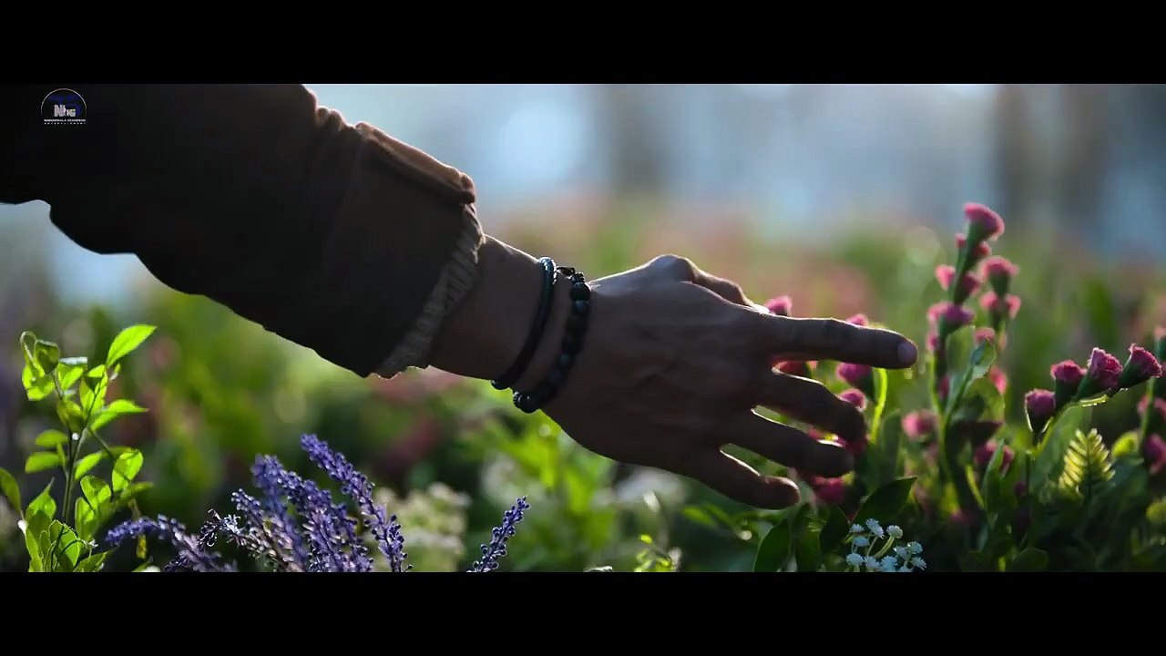 Baaghi 4 Trailer _ Tiger, Sanjay, Harnaaz, Sonam _ Sajid Nadiadwala _ A Harsha _ In Cinemas 5th Sept