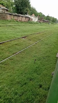 Green Railway Platform Pakistan Railway Rawalpindi Station