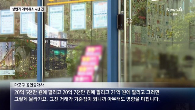 ‘17억 3건’ 취소 후 18억…정부 “이상 거래 조사”