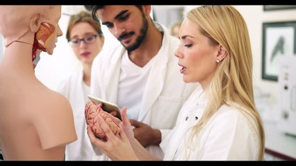 Sono 1200 gli iscritti a Medicina all'UniMe. Lunedì l'inizio delle lezioni