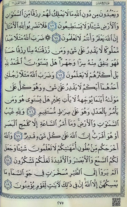 صفحة (275)
