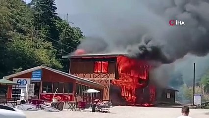 Giresun’un gözde tabiat parkında yangın felaketi