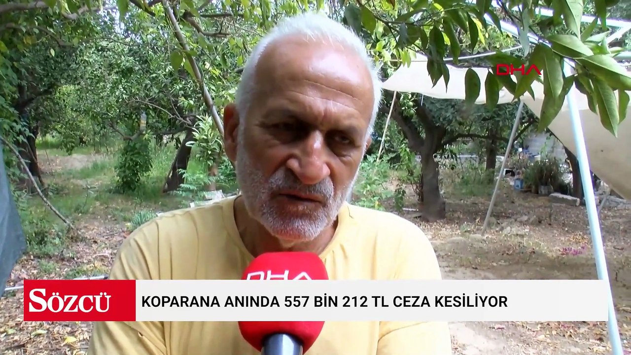 Koruma altında tutuluyor: Koparana anında 557 bin 212 TL ceza kesiliyor